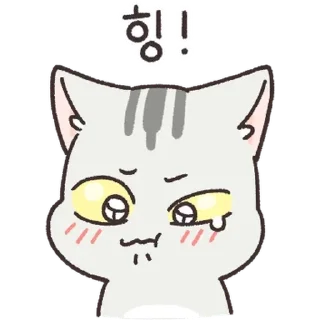 Video sticker 💬 내 이름은 댕댕이, 고양이죠 By @KakaoEmoticon