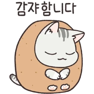 Sticker 💬 내 이름은 댕댕이, 고양이죠 By @KakaoEmoticon