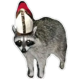 Sticker 🛐 Habēmus Raccoon