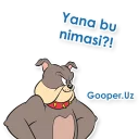 Sticker 😡 Tom va Jerry (O`zbek tilidagi Stickerlar)