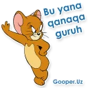 Sticker 😐 Tom va Jerry (O`zbek tilidagi Stickerlar)