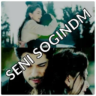 Video sticker 😁 KARA SEVDA