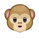 Video sticker 🐵 TG Share @tgshare