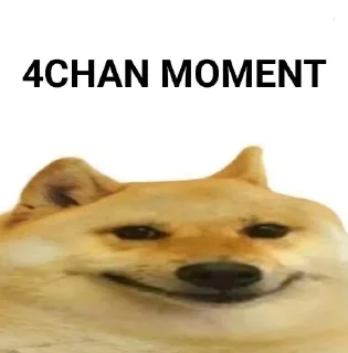 Sticker 🍀 Doge Moments