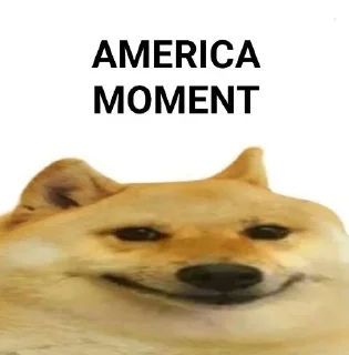 Video sticker 🇺🇲 Doge Moments