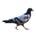 Sticker ⚽ Pigeons with hands