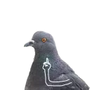 Sticker ☝ Pigeons with hands