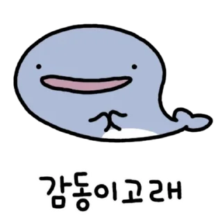 Video sticker 💬 난다고래 By @KakaoEmoticon