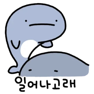 Video sticker 💬 난다고래 By @KakaoEmoticon