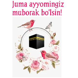 Sticker 🕋 Ayisha optom va dona @Sticer_yasab_berish_xizmati