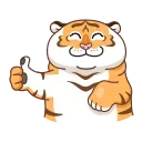 Video sticker 👍 Grumpy Tiger