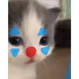 Video sticker 🤡 Baka figu's