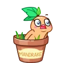 Video sticker 😨 Magic Mandrake