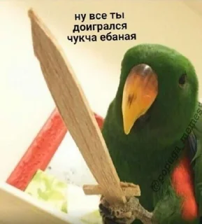 Video sticker 🗡️ Попуги