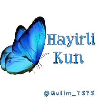 Sticker 🌸 @Gulim_7575