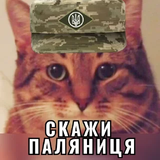 Sticker 🤔 Кіт ЗСУ