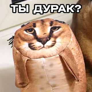 Sticker 😅 БЛОПТОП