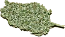 Sticker ✌ marijuana