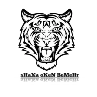 Video sticker 🐯 sHaXa_oKeN_YaGoNa