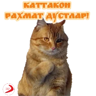 Sticker 😎 БУМЕРАНГ ДОБРА