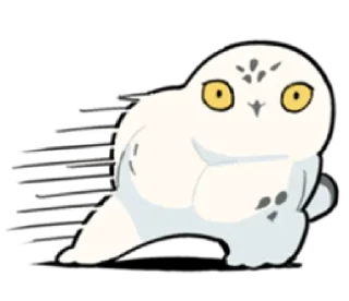 Video sticker 👀 Energetic snowy owls