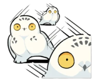 Video sticker 👀 Energetic snowy owls