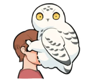 Sticker 😳 Energetic snowy owls