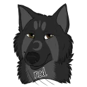 Video sticker 🐺 @wolfjlupus SFW General1