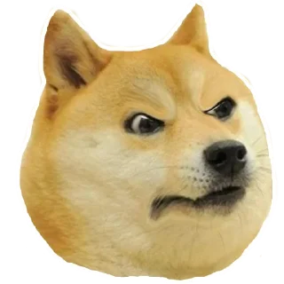 Sticker 😡 Xbox4 Doge meme