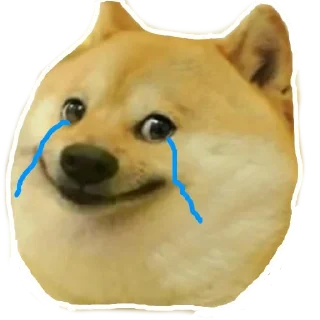 Sticker 🥺 Xbox4 Doge meme