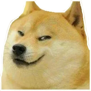 Sticker 😏 Xbox4 Doge meme