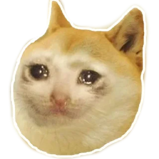 Sticker 😰 Xbox4 Doge meme