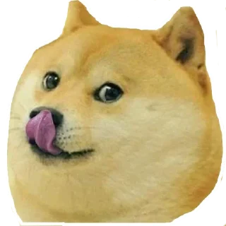 Video sticker 😋 Xbox4 Doge meme