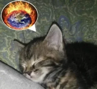 Sticker 😴 Sillycats