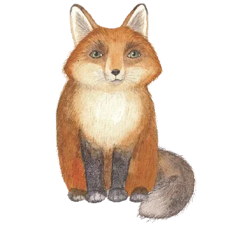 Sticker 🦊 Ника Кот