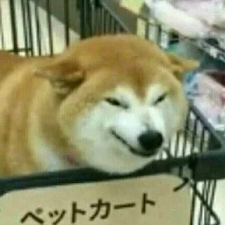 Sticker 😈 Shopping Cart Shiba