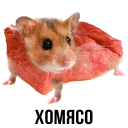 Sticker 🐹 Шлакоблокунь и друзья