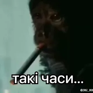 Video sticker 🚬 Вкрав другу мавпу