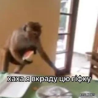 Sticker 🐒 Вкрав другу мавпу