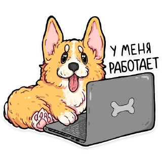 Sticker 🤷‍♂️ корги кодеры (@kotypic)