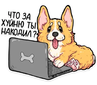 Sticker ❓ корги кодеры (@kotypic)