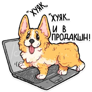 Sticker 👍 корги кодеры (@kotypic)