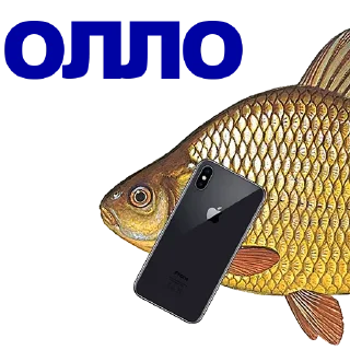 Sticker 🐠 КАРАСЬ