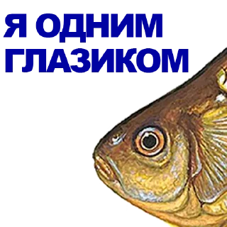 Sticker 🐠 КАРАСЬ