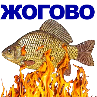 Sticker 🐠 КАРАСЬ