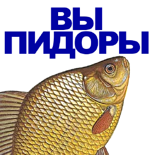 Sticker 🐠 КАРАСЬ