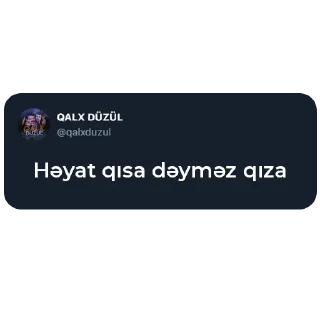 Sticker 😂 Qalx Düzül V1 | @qalxduzul