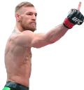 Sticker 🖕 Conor McGregor