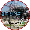 Video sticker ❓ 🇰🇷 @KaresTili 🇺🇿