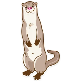 Sticker 😀 Johan The Otter